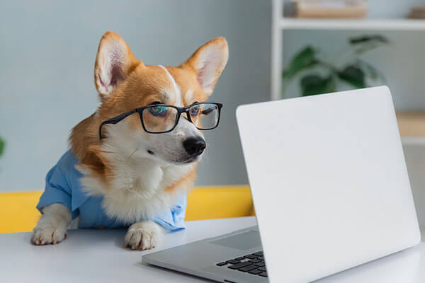 SEO 101: A Beginner’s Guide to Understanding Search Engine Optimisation